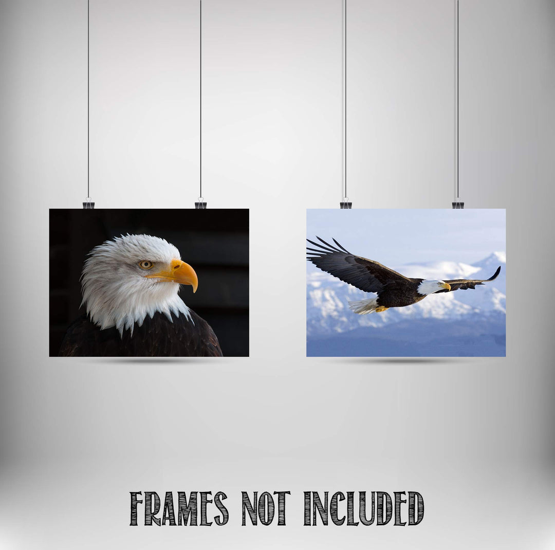 American Eagle- 2 Print Set- 8 x 10&