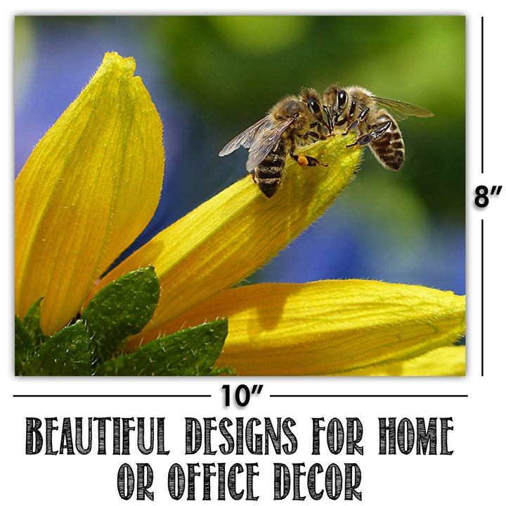 The Birds, Bees, Butterflies &amp; Blooming Blossoms Wall Art Set- (4) 8 x 10&