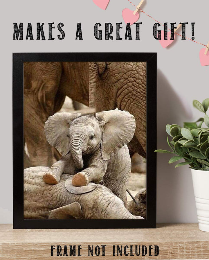 Adorable Baby Elephant Playing with Mom- 8 x 10" Print Wall Art- Ready to Frame- Home D?cor, Nursery D?cor &amp; Wall Prints for Animal Themes &amp; Children&