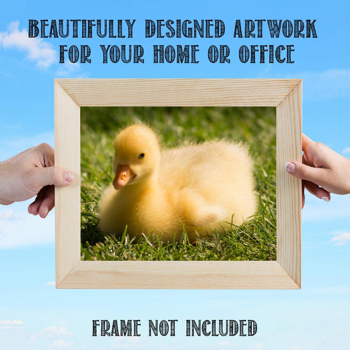 Sweet Baby Duck in Grass- 8 x 10" Print Wall Art- Ready to Frame- Home D?cor, Nursery D?cor &amp; Wall Prints for Animal Themes &amp; Children&
