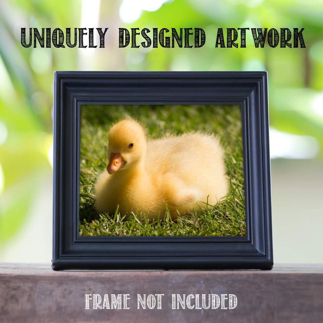 Sweet Baby Duck in Grass- 8 x 10" Print Wall Art- Ready to Frame- Home D?cor, Nursery D?cor &amp; Wall Prints for Animal Themes &amp; Children&