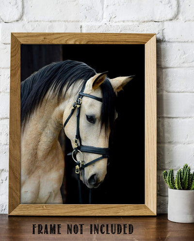 Beautiful Cream Horse- 8 x 10" Print Wall Art- Ready to Frame- Home D?cor, Nursery D?cor Wall Prints for Equestrian Themes, Children's Bedroom Wall Decor. Perfect Gift for Veterinarians & Horse Lovers