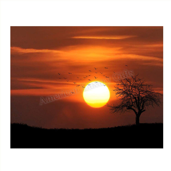 Sunset on African Plains- 8 x 10"- Print Wall Art- Ready to Frame. Home D?cor, Office D?cor &amp; Nursery Decor. Gorgeous Sunset with Tree &amp; Birds on Serengeti. Great Gift for Safari Lovers.
