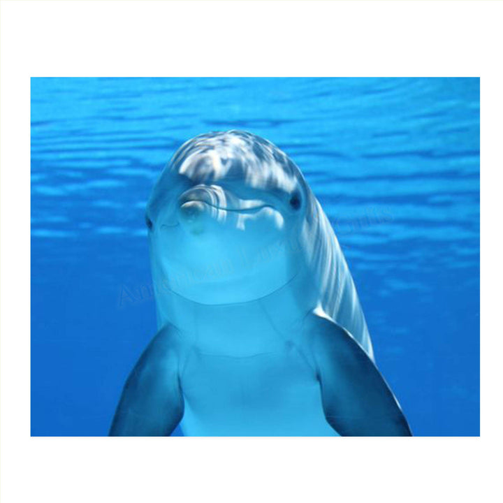 Young Dolphin Saying Hi!- 8 x 10" Print Wall Art- Ready to Frame- Home D?cor, Nursery D?cor &amp; Wall Prints for Animal &amp; Sea Themes &amp; Children&