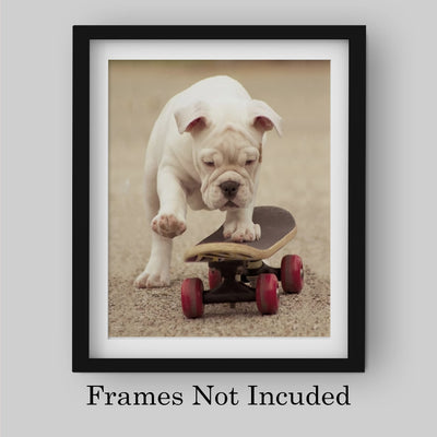 Cute Bulldog Puppy Riding A Skateboard-Funny Dog Photo Print-8 x 10" Wall Art Decor-Ready to Frame. Perfect Pet Wall Art for Home-Kitchen-Cave-Bar-Garage. Great Gift for English Bulldog Lovers!