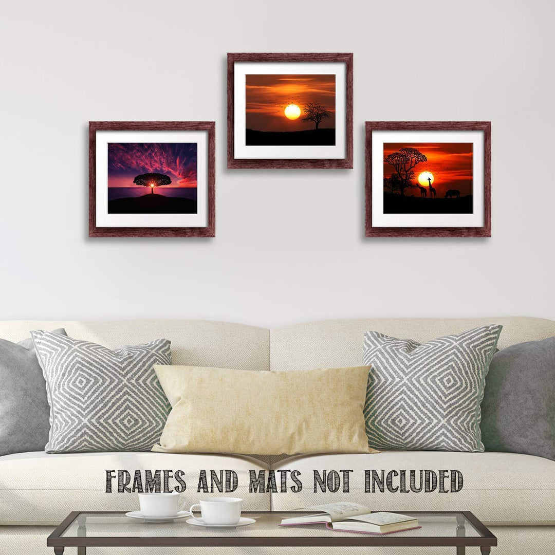Safari Sunsets- 3 Image Set- 8 x 10&
