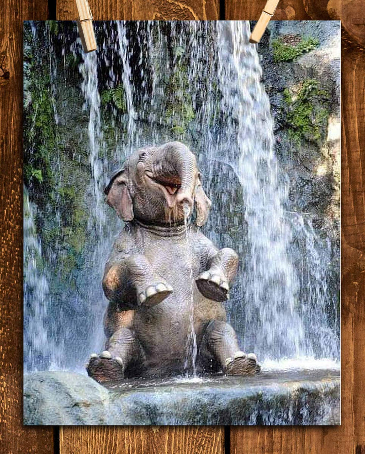 Young Elephant Laughing in Waterfall- 8 x 10" Print Wall Art- Ready to Frame- Home D?cor, Nursery D?cor &amp; Wall Prints for Animal Themes &amp; Children&