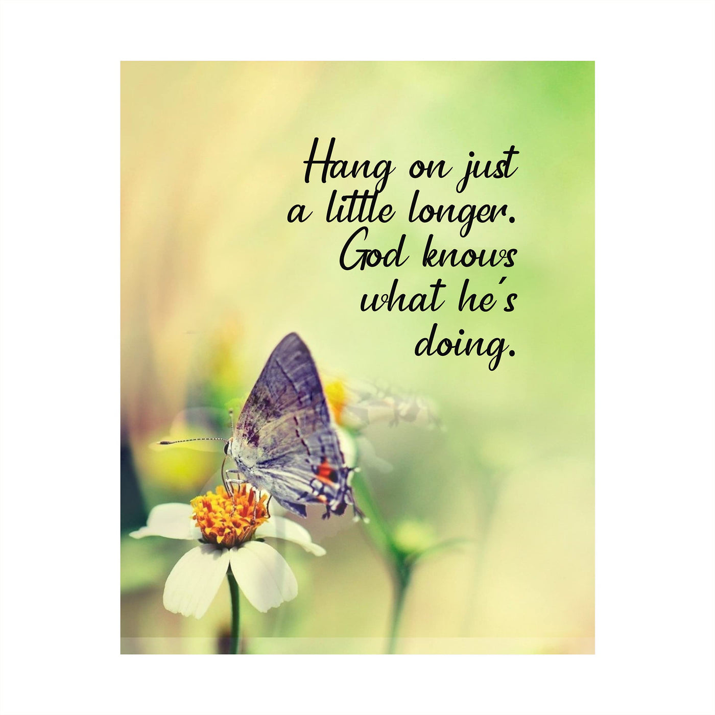 Hang On Just a Little Longer-God Knows What He Is Doing Inspirational Christian Wall Art -8 x 10" Floral Print w/Butterfly Image- Ready to Frame. Motivational Home-Office-Church Decor. Great Gift!