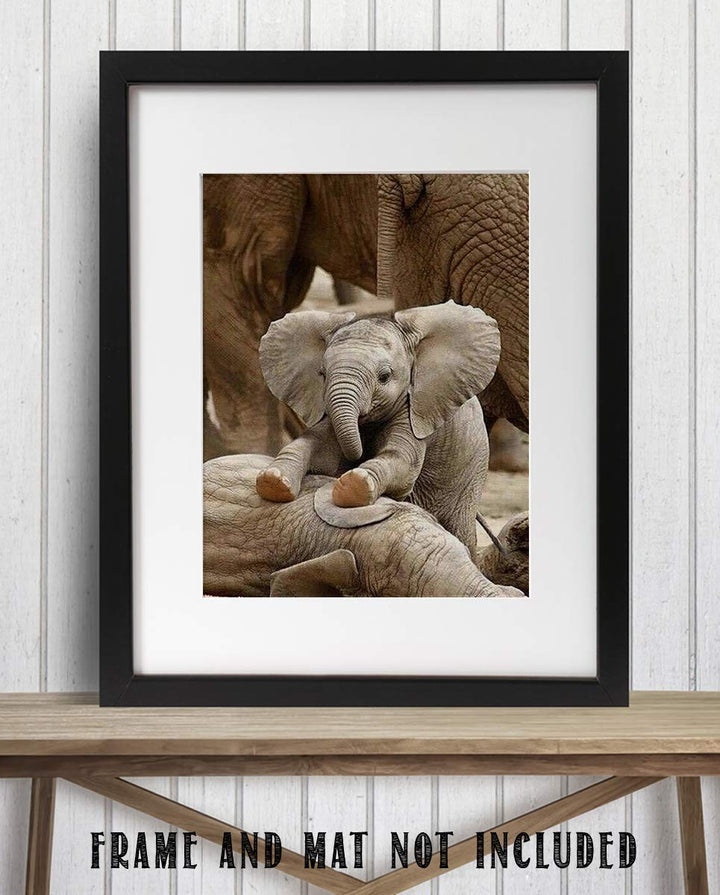 Adorable Baby Elephant Playing with Mom- 8 x 10" Print Wall Art- Ready to Frame- Home D?cor, Nursery D?cor &amp; Wall Prints for Animal Themes &amp; Children&