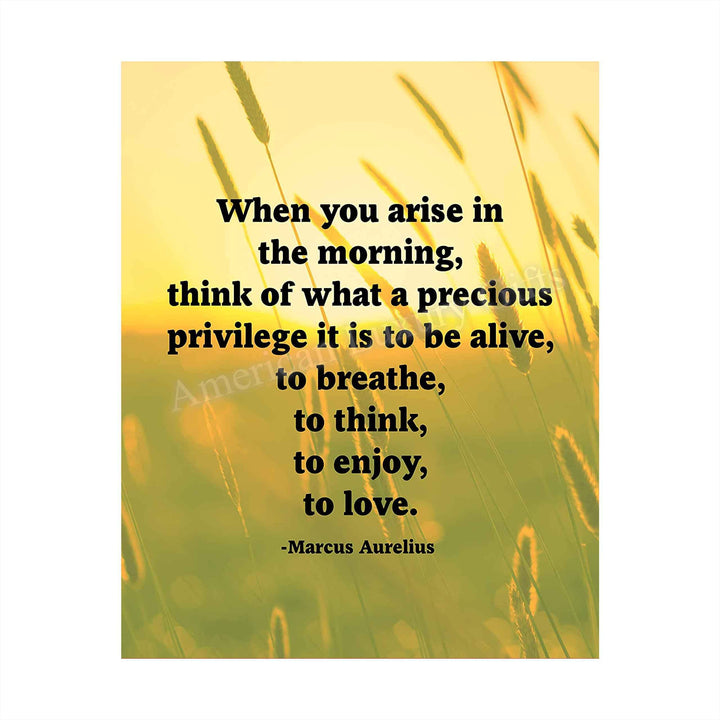 Marcus Aurelius Quotes-"When You Arise in the Morning"-Inspirational Wall Art -8 x 10" Sunset Meadow Print-Ready to Frame. Perfect Home-Office-Classroom-Dorm Decor. Great Philosophical Quote!