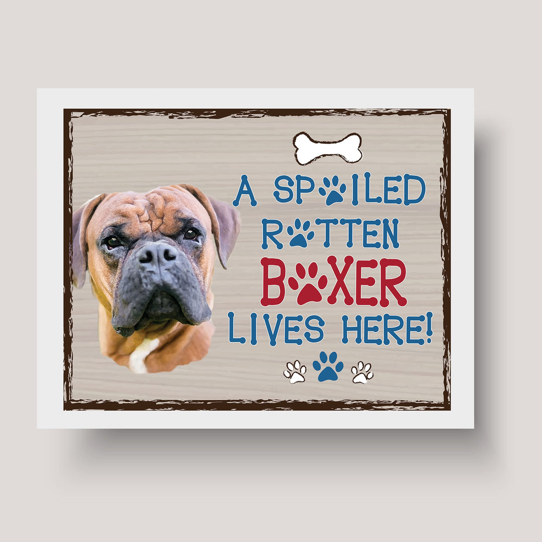 Boxer-Dog Poster Print- 10 x 8" Wall Decor Sign-Ready To Frame."A Spoiled Rotten Boxer Lives Here". Perfect Pet Wall Art for Home-Kitchen-Cave-Bar-Garage. Great Gift for All Brindle Boxer Lovers.
