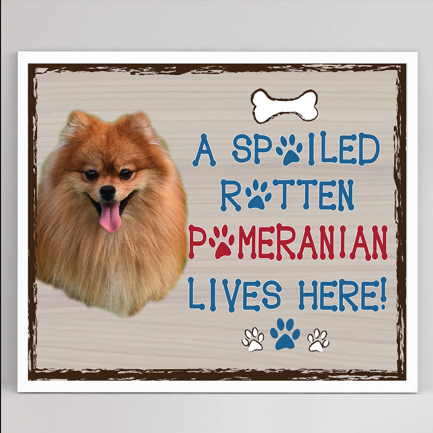 Pomeranian-Dog Poster Print-10 x 8" Wall Decor Sign-Ready To Frame."A Spoiled Rotten Pomeranian Lives Here". Perfect Pet Wall Art for Home-Kitchen-Cave-Garage. Great Gift for Pomeranian Owners!