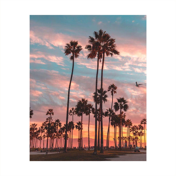 Palm Trees of Paradise- 8 x 10&
