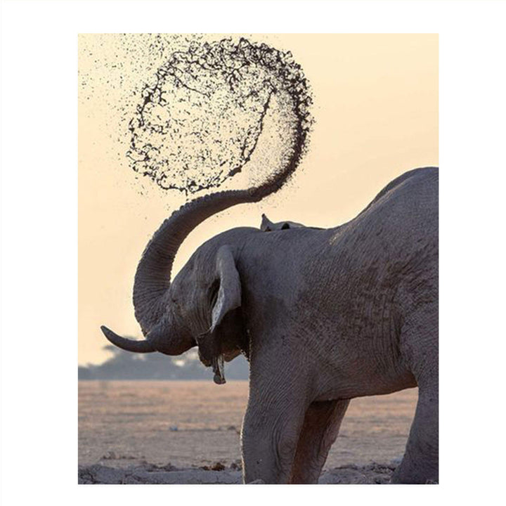 Elephant Shower At Watering Hole- 8 x 10" Print Wall Art- Ready to Frame- Home D?cor, Nursery D?cor &amp; Wall Prints for Animal Themes &amp; Children&
