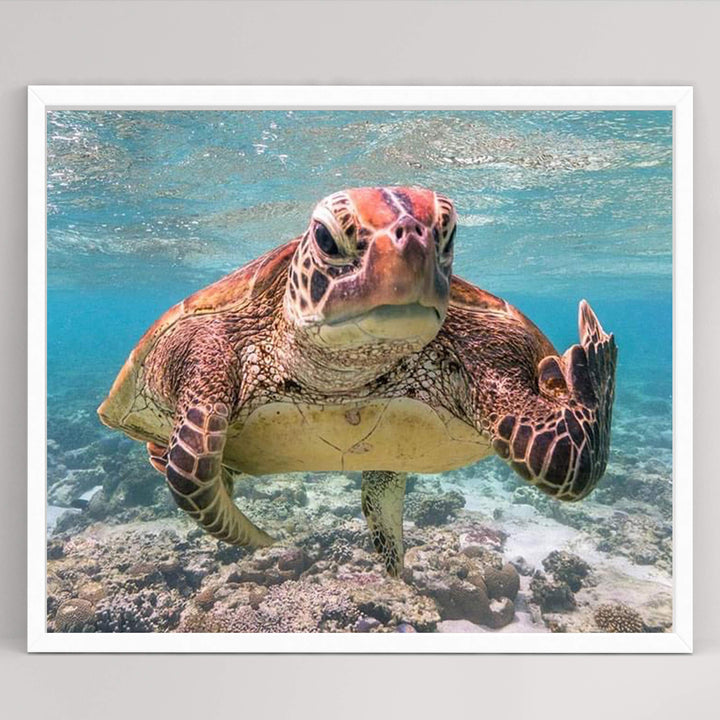 Sea Turtle Swimming In Ocean-Coral Reef -10x8" Colorful Marine Wall Art Print-Ready to Frame. Beach Decor for Home-Office-Studio-Beach House. Perfect for Coastal &amp; Nautical Themes! Great Gift!