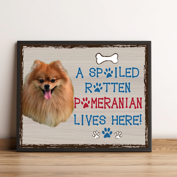 Pomeranian-Dog Poster Print-10 x 8" Wall Decor Sign-Ready To Frame."A Spoiled Rotten Pomeranian Lives Here". Perfect Pet Wall Art for Home-Kitchen-Cave-Garage. Great Gift for Pomeranian Owners!