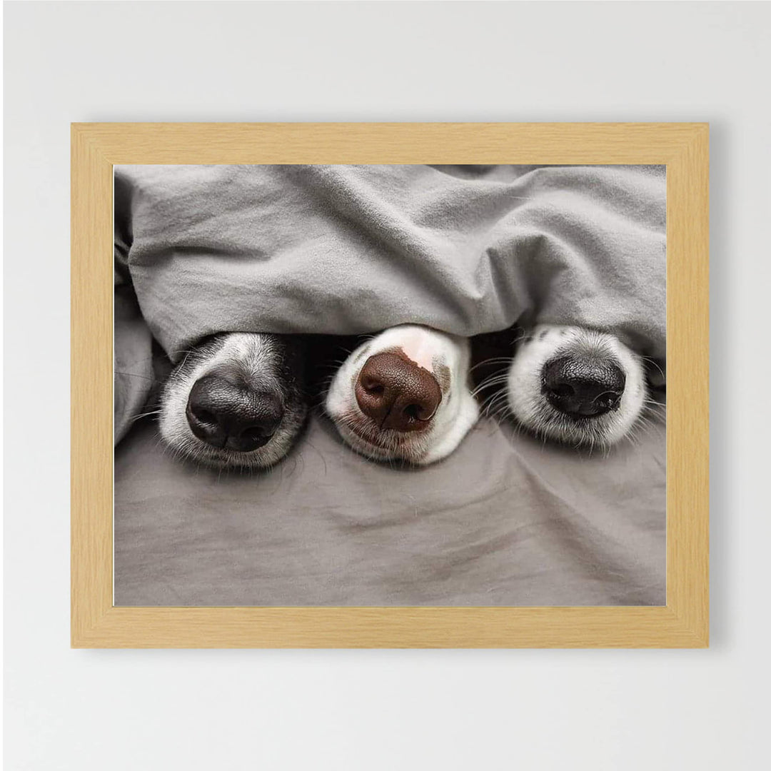 Adorable Puppy Noses Peeking Out- Funny Dog Nose Wall Art- 10 x 8" Inspirational Pet Lovers Picture Print -Ready to Frame. Home, Pet Shop, Nursery, Vet&