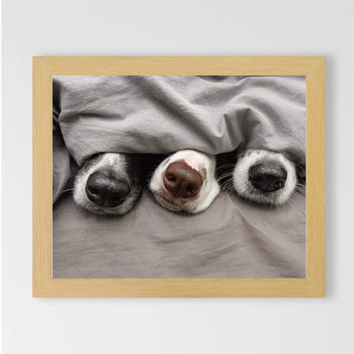 Adorable Puppy Noses Peeking Out- Funny Dog Nose Wall Art- 10 x 8" Inspirational Pet Lovers Picture Print -Ready to Frame. Home, Pet Shop, Nursery, Vet's Office & Animal Themed Decor. Cute Gift!