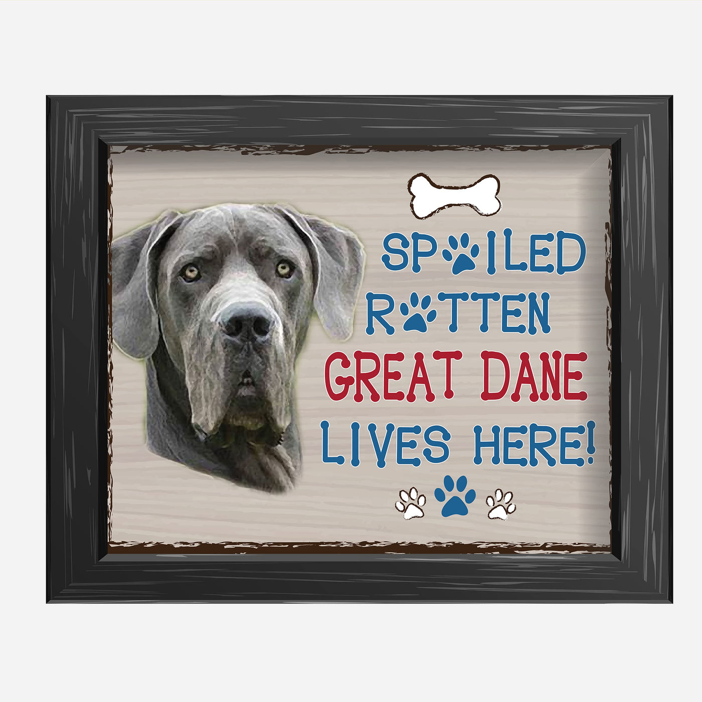 Great Dane-Dog Poster Print-10 x 8" Wall Decor Sign-Ready To Frame."A Spoiled Rotten Great Dane Lives Here". Perfect Pet Wall Art for Home-Kitchen-Cave-Bar-Garage. Great Gift for Great Dane Owners!