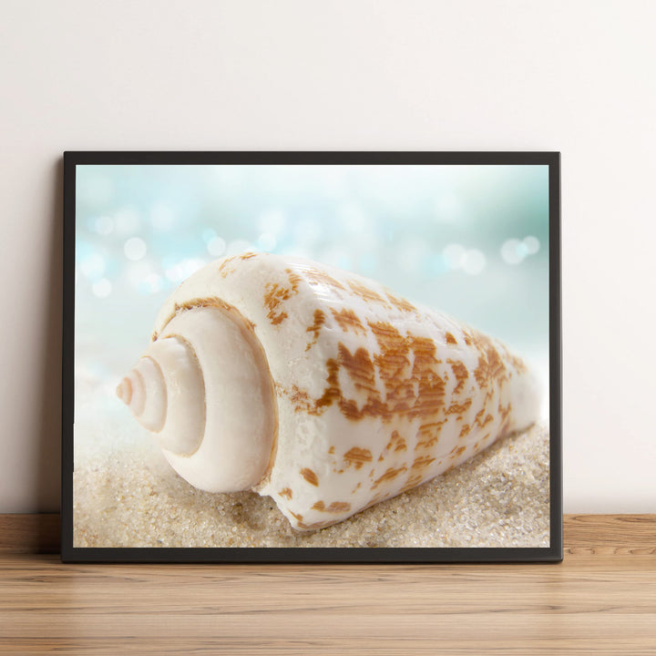 Seashell on the Shore- Beach Wall Art Decor -10 x 8" Sea Shell in the Sand Photo Print -Ready to Frame. Ocean &amp; Coastal Themed Decor for Home-Office-Studio-Beach House. Great Nautical Gift!