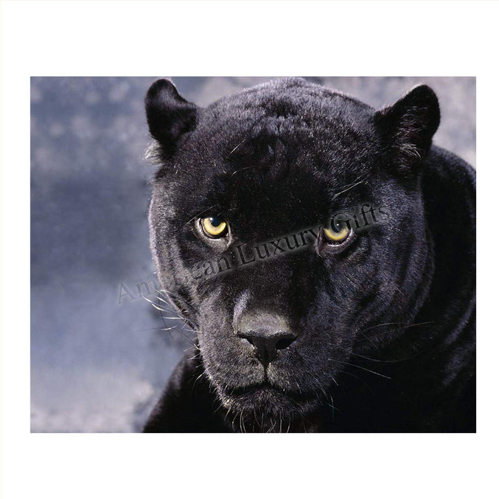 Intimidating Black Panther-8 x 10- Wall Art- Ready to Frame- Home D?cor, Office D?cor &amp; Wall Prints for Animal, Safari &amp; Jungle Theme Wall Decor. Feel the Fright of the Big Black Cat! Great Gift!