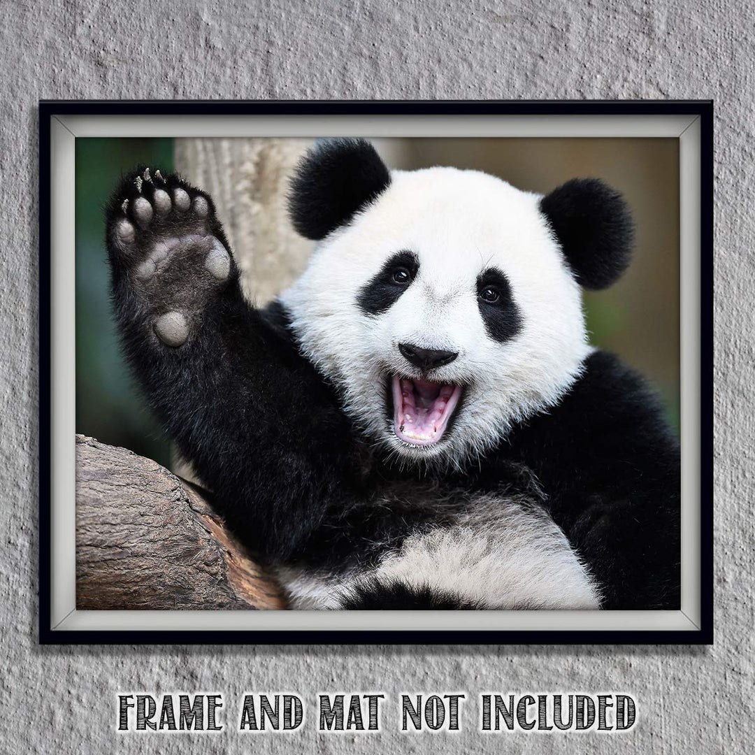 Happy Panda-Waving Hi!- Animal Poster Print-10 x 8" Print Wall Art- Ready to Frame. Home &amp; Office D?cor. Nursery D?cor &amp; Wall Prints for Animal Themes &amp; Children&