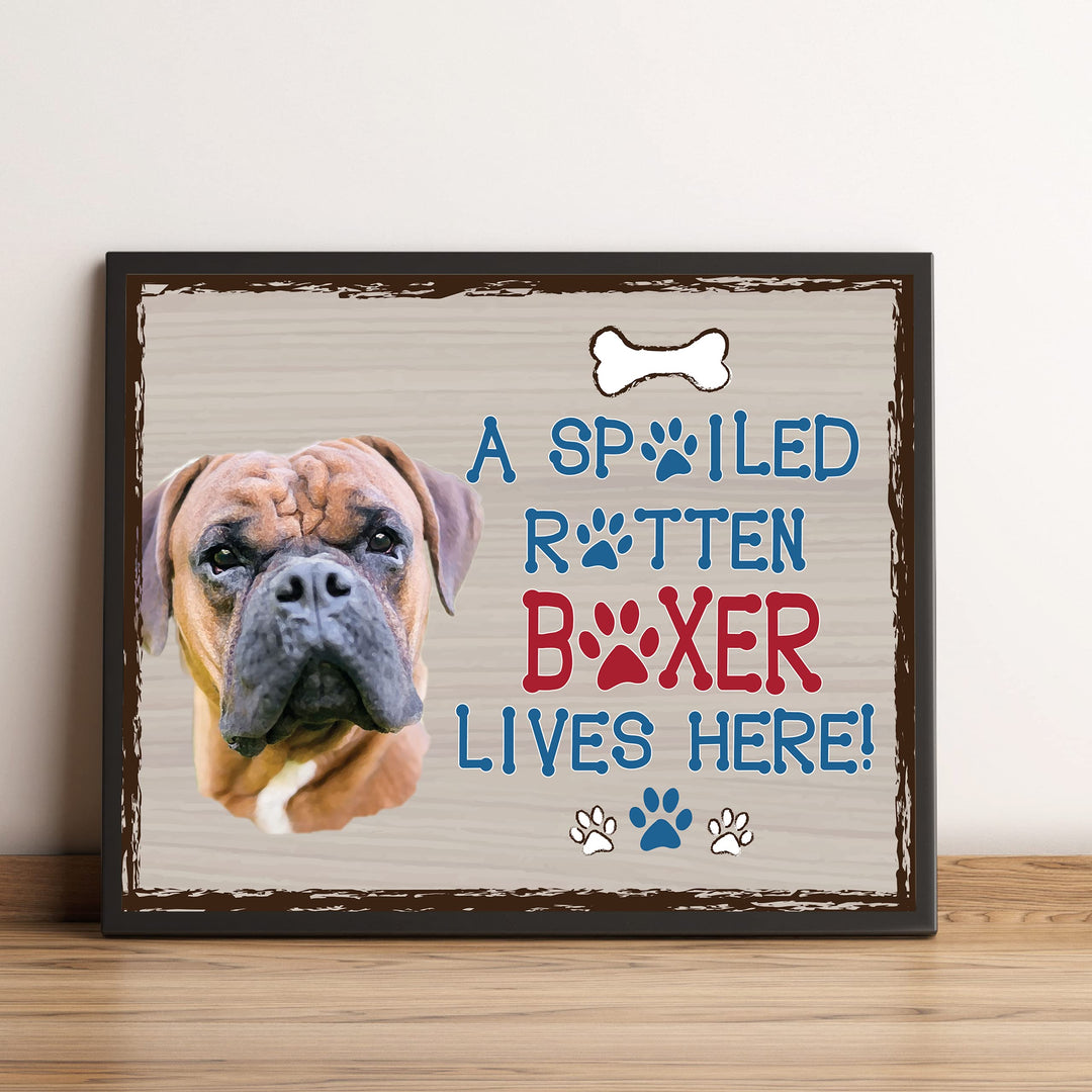 Boxer-Dog Poster Print- 10 x 8" Wall Decor Sign-Ready To Frame."A Spoiled Rotten Boxer Lives Here". Perfect Pet Wall Art for Home-Kitchen-Cave-Bar-Garage. Great Gift for All Brindle Boxer Lovers.