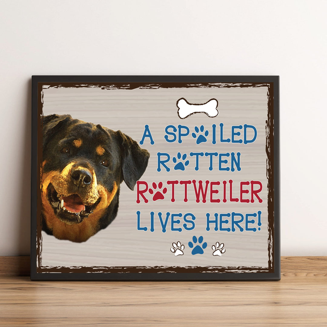 Rottweiler- Dog Poster Print- 10 x 8" Wall Decor Sign-Ready To Frame."A Spoiled Rotten Rottweiler Lives Here". Perfect Pet Wall Art for Home-Kitchen-Cave-Bar-Garage. Great Gift for Rottweiler Owners.
