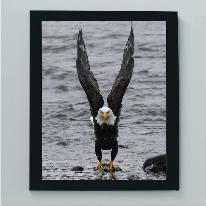 Fierce Bald Eagle at the Beach Motivational American Wall Art -8 x 10" Patriotic Eagle Photo Print-Ready to Frame. Inspirational Home-Office-School-Cave Decor. Great for Animal &amp; Political Themes!