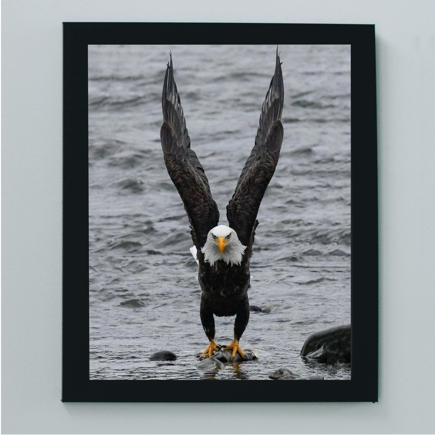 Fierce Bald Eagle at the Beach Motivational American Wall Art -8 x 10" Patriotic Eagle Photo Print-Ready to Frame. Inspirational Home-Office-School-Cave Decor. Great for Animal & Political Themes!