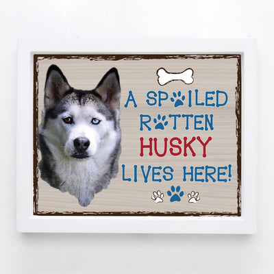 Siberian Husky-Dog Poster Print-10 x 8" Wall Decor Sign-Ready To Frame."A Spoiled Rotten Husky Lives Here". Perfect Pet Wall Art for Home-Kitchen-Cave-Bar-Garage. Great Gift for Siberian Husky Fans!