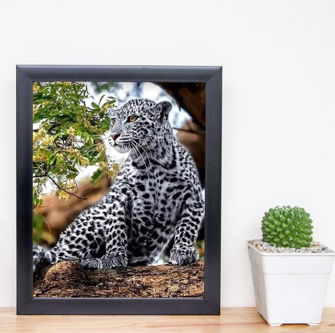 White Snow Leopard in Tree - 8 x 10" Wild Animals Print Wall Art- Ready to Frame. Big Cats Decor for Home-Office-Science Classroom-Library. Perfect Photo for Zoo, Animal, Safari &amp; Jungle Themes!