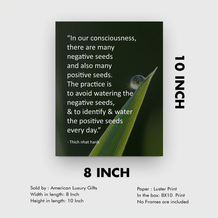 Identify and Water the Positive Seeds Every Day -Thich Nhat Hanh Mindfulness Quotes -8 x 10" Spiritual Wall Art Print-Ready to Frame. Home-Office-Studio-Meditation-Zen Decor. Great Reminder!