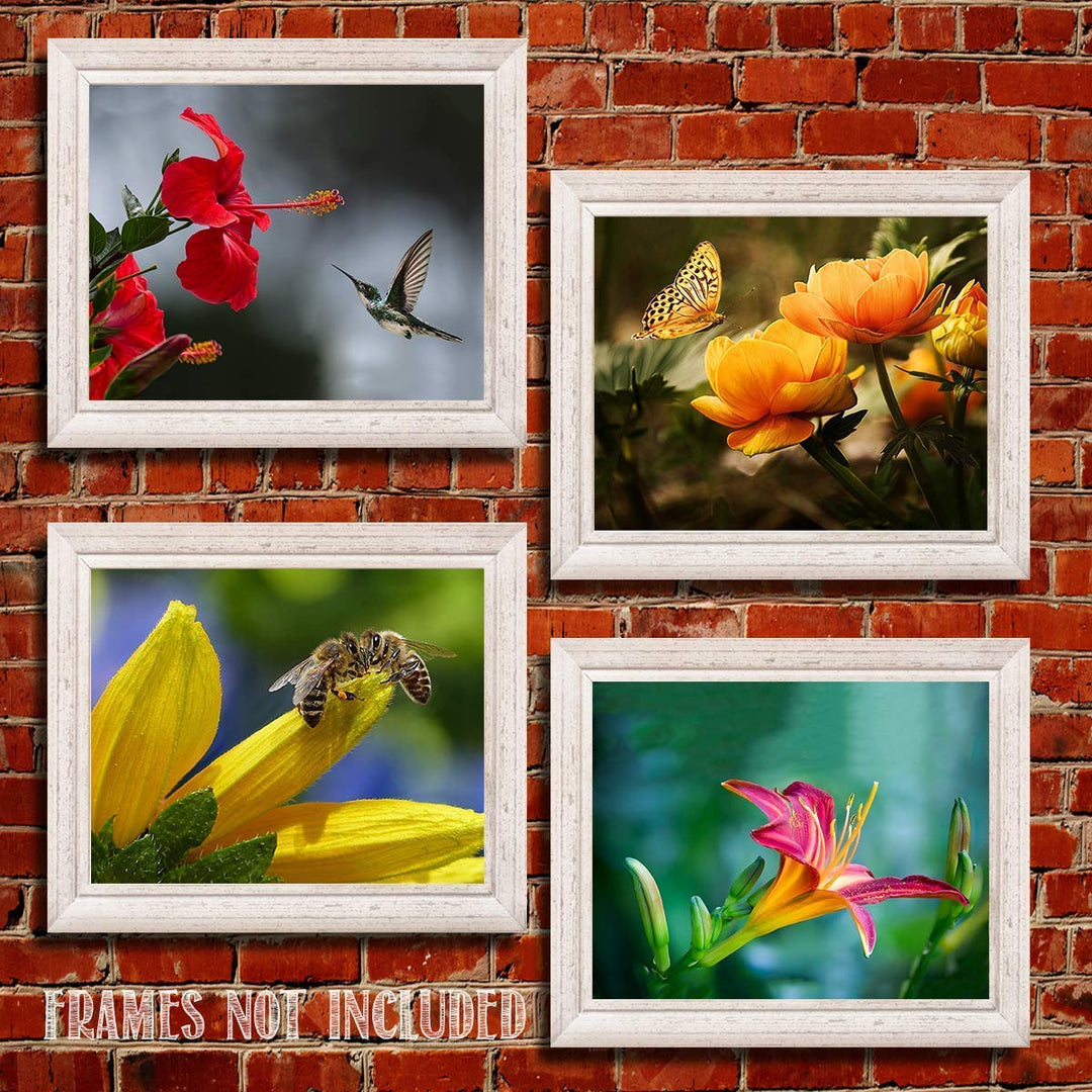 The Birds, Bees, Butterflies &amp; Blooming Blossoms Wall Art Set- (4) 8 x 10&