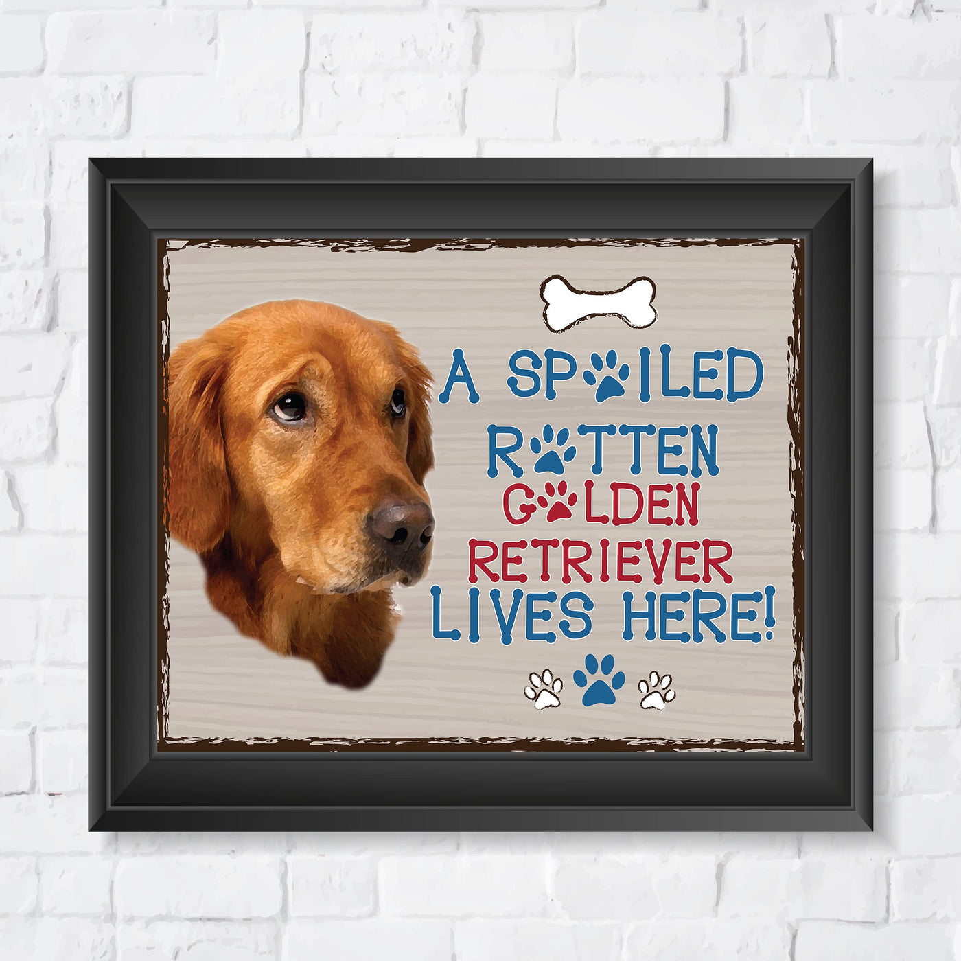 Golden Lab- Dog Poster Print-10 x 8" Wall Decor Sign-Ready To Frame."A Spoiled Rotten Golden Retriever Lives Here". Perfect Pet Wall Art for Home-Kitchen-Cave-Bar-Garage. Great Gift for Lab Lovers.