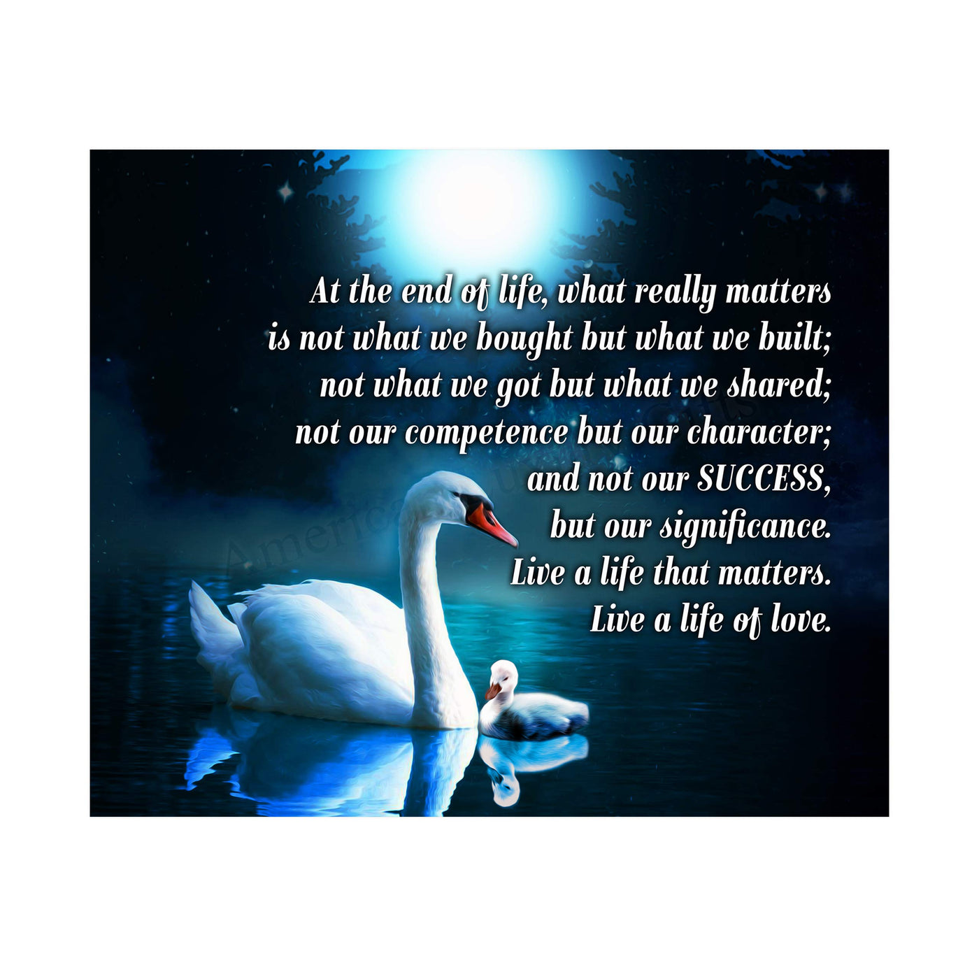 Live A Life That Matters-Live A Life of Love-Inspirational Quotes Wall Art -10 x 8" Motivational Poster Print w/Swan Images-Ready to Frame. Home-Office-Studio-Dorm Decor. Great Positive Sign!