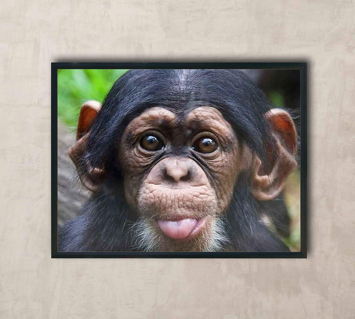 Baby Chimp w/Funny Face- 10 x 8" Photographic Wall Art Print- Ready to Frame. Home-Nursery-Party Decor. Perfect for Zoo Themes &amp; Children&