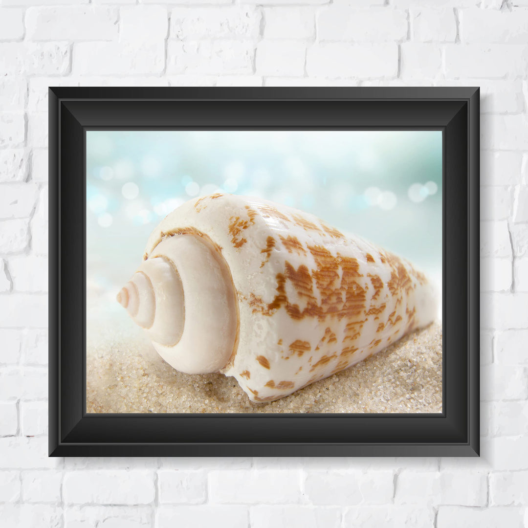 Seashell on the Shore- Beach Wall Art Decor -10 x 8" Sea Shell in the Sand Photo Print -Ready to Frame. Ocean &amp; Coastal Themed Decor for Home-Office-Studio-Beach House. Great Nautical Gift!
