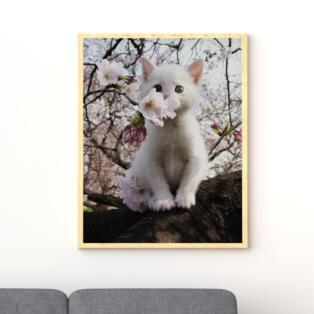 White Kitten in Tree -Inspirational Wall Art -Cute Cat in Floral Tree Photo Print- Ready to Frame. Home-Office-Teen-Girls Bedroom Decor. Perfect Animal, Pet &amp; Cats Themed Wall Decor!