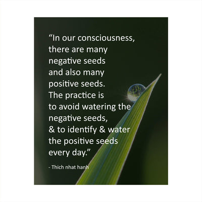 Identify and Water the Positive Seeds Every Day -Thich Nhat Hanh Mindfulness Quotes -8 x 10" Spiritual Wall Art Print-Ready to Frame. Home-Office-Studio-Meditation-Zen Decor. Great Reminder!