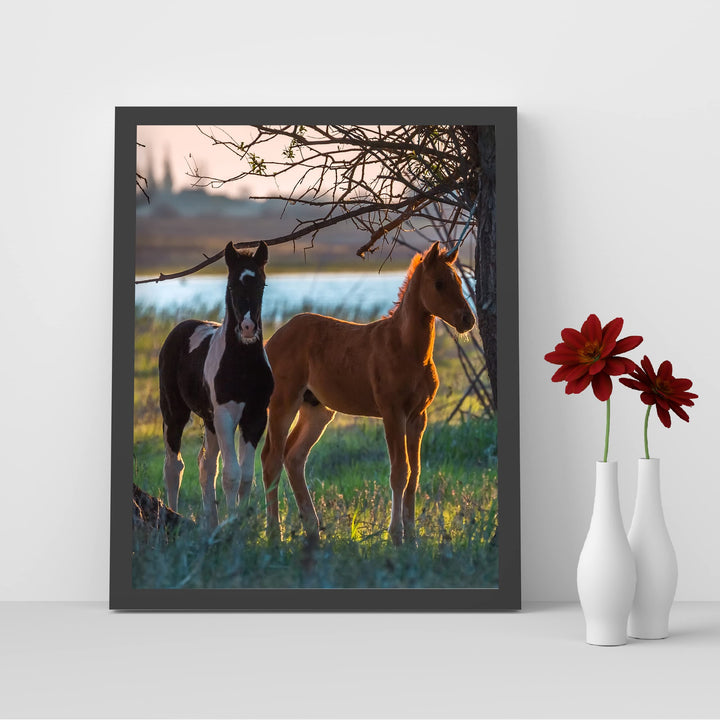 Curious Colts- 8 x 10" Horse Photo Print Wall Art-Ready to Frame. Beautiful Black-White &amp; Tan Horses. Home-Office-Bar Decor for Equestrian Themes &amp; Children&