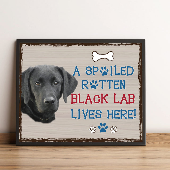 Black Lab-Dog Poster Print-10 x 8" Wall Decor Sign-Ready To Frame."A Spoiled Rotten Black Lab Lives Here". Perfect Pet Wall Art for Home-Kitchen-Cave-Bar-Garage. Great Gift for Labrador Lovers.