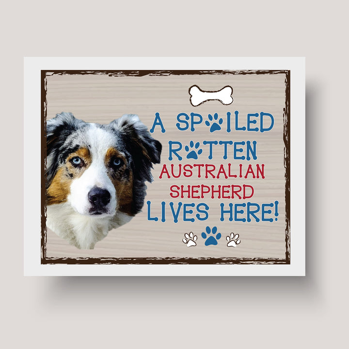 Australian Shepherd-Dog Poster Print-10 x 8" Wall Decor Sign-Ready To Frame."A Spoiled Rotten Australian Shepherd Lives Here". Perfect Pet Wall Art for Home-Kitchen-Cave-Garage. Gift for Aussie Fans!