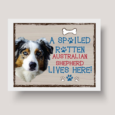 Australian Shepherd-Dog Poster Print-10 x 8" Wall Decor Sign-Ready To Frame."A Spoiled Rotten Australian Shepherd Lives Here". Perfect Pet Wall Art for Home-Kitchen-Cave-Garage. Gift for Aussie Fans!