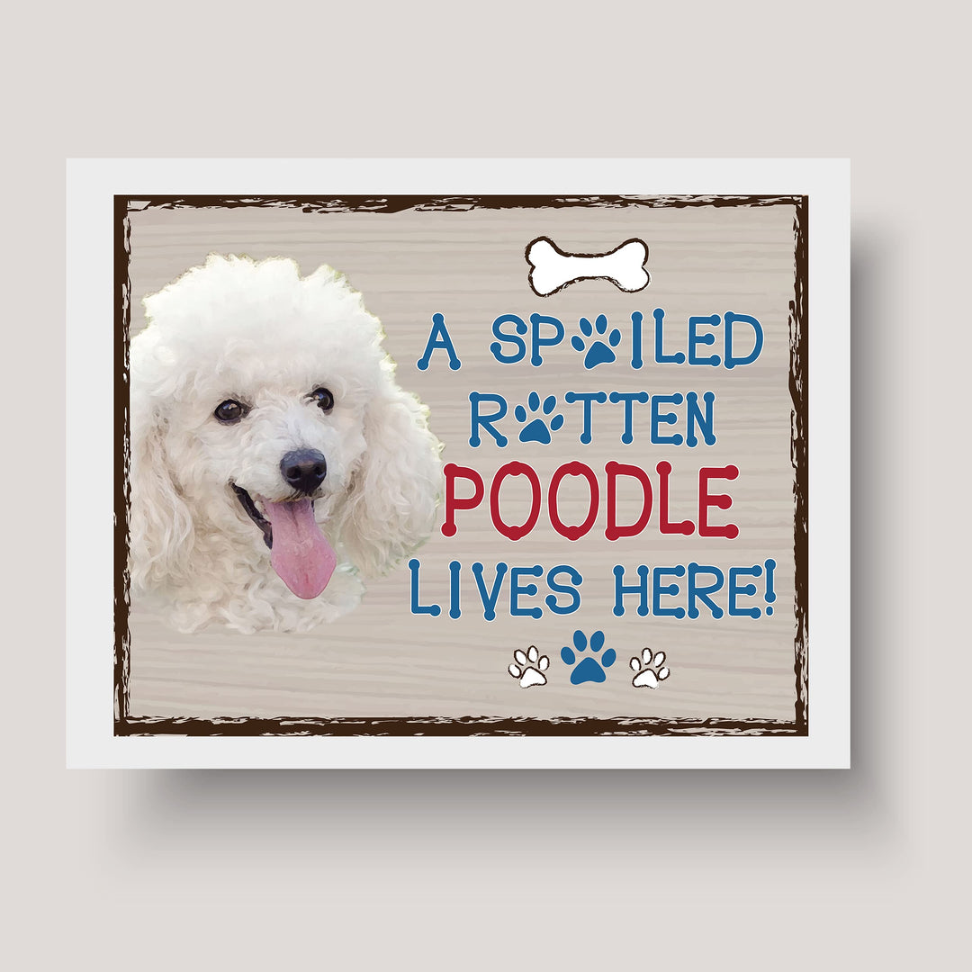 Poodle-Dog Poster Print-10 x 8" Wall Decor Sign-Ready To Frame."A Spoiled Rotten Poodle Lives Here". Perfect Pet Wall Art for Home-Kitchen-Cave-Bar-Garage. Great Gift for All Poodle Owners.