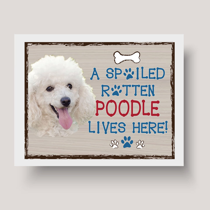 Poodle-Dog Poster Print-10 x 8" Wall Decor Sign-Ready To Frame."A Spoiled Rotten Poodle Lives Here". Perfect Pet Wall Art for Home-Kitchen-Cave-Bar-Garage. Great Gift for All Poodle Owners.