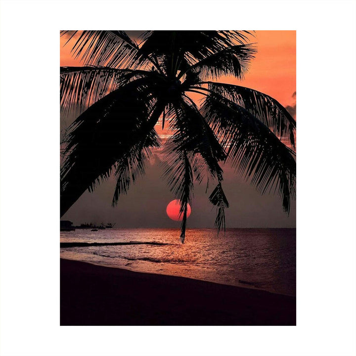 Orange Sunset Palm Trees- 8 x 10&