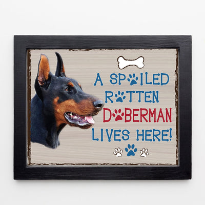 Doberman-Dog Poster Print-10 x 8" Wall Decor Sign-Ready To Frame."A Spoiled Rotten Doberman Lives Here". Perfect Pet Wall Art for Home-Kitchen-Cave-Bar-Garage. Great Gift for Doberman Owners.