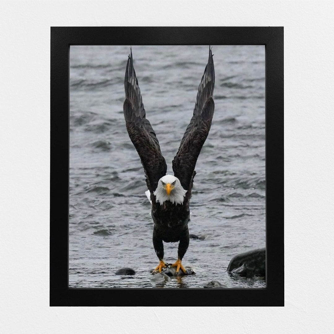 Fierce Bald Eagle at the Beach Motivational American Wall Art -8 x 10" Patriotic Eagle Photo Print-Ready to Frame. Inspirational Home-Office-School-Cave Decor. Great for Animal &amp; Political Themes!