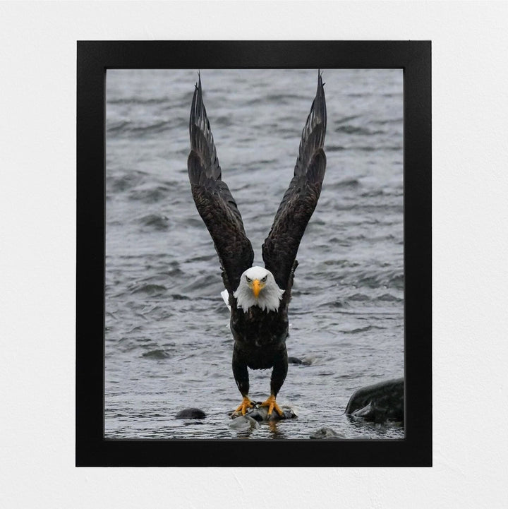 Fierce Bald Eagle at the Beach Motivational American Wall Art -8 x 10" Patriotic Eagle Photo Print-Ready to Frame. Inspirational Home-Office-School-Cave Decor. Great for Animal &amp; Political Themes!